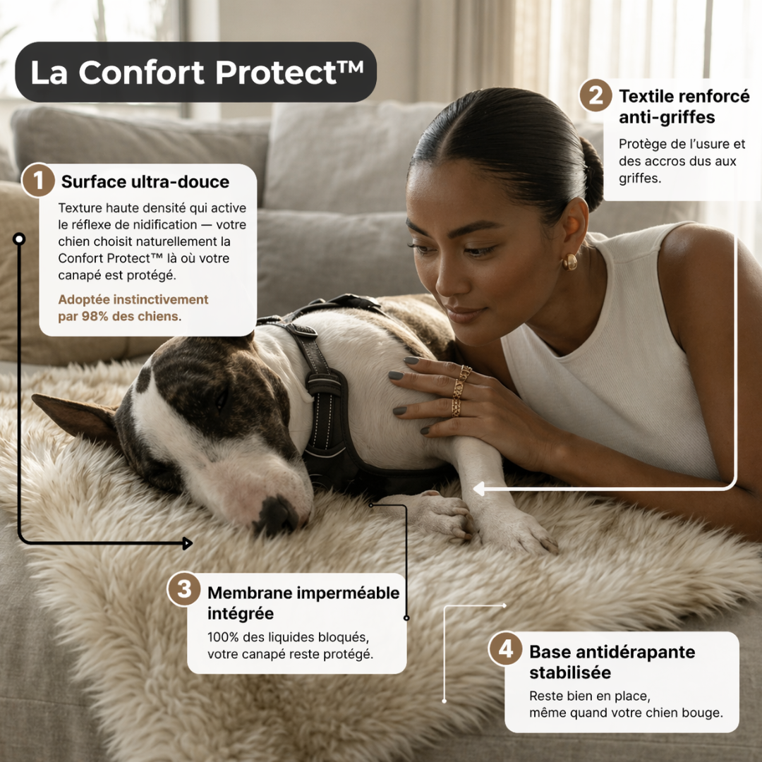 Confort Protect™ — La protection d'intérieur haute couture