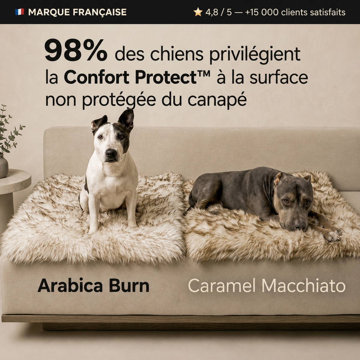 Confort Protect™ — La protection d'intérieur haute couture