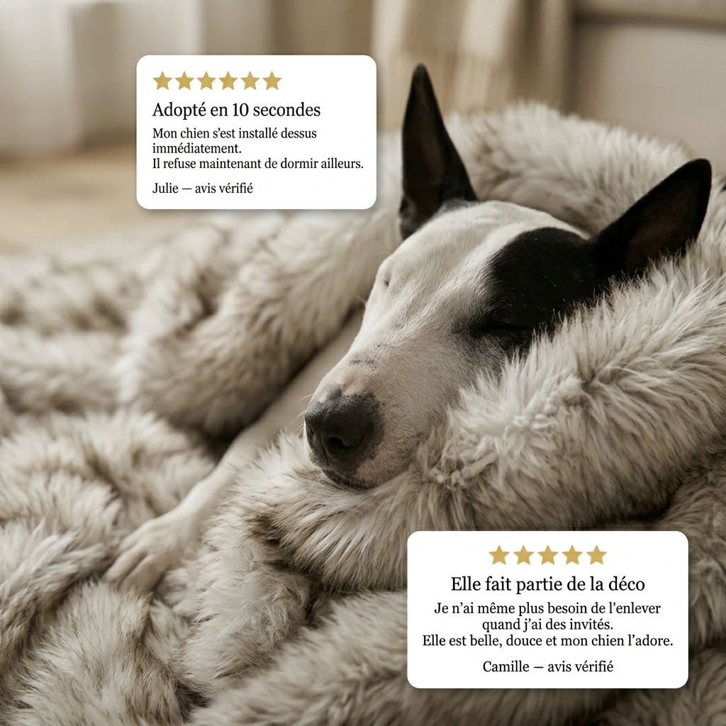 Confort Protect™ — La protection d'intérieur haute couture