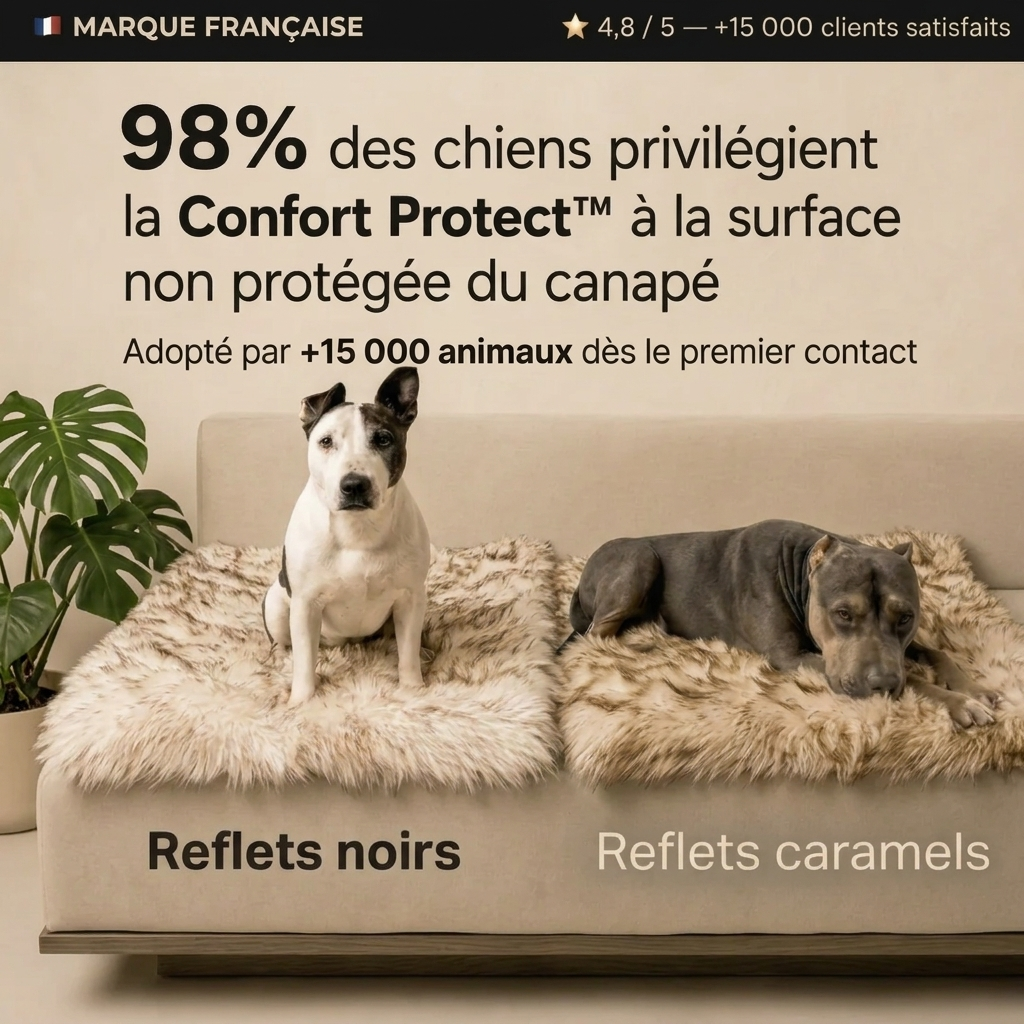Confort Protect™ — La protection d'intérieur haute couture